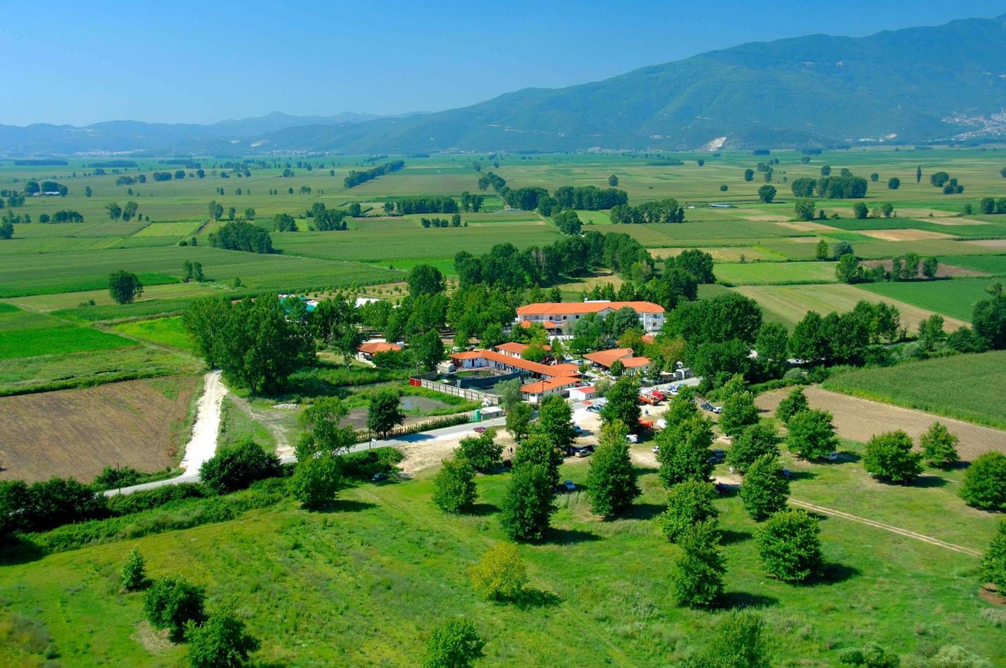 Yannis Hotel Krinidhes Exterior photo